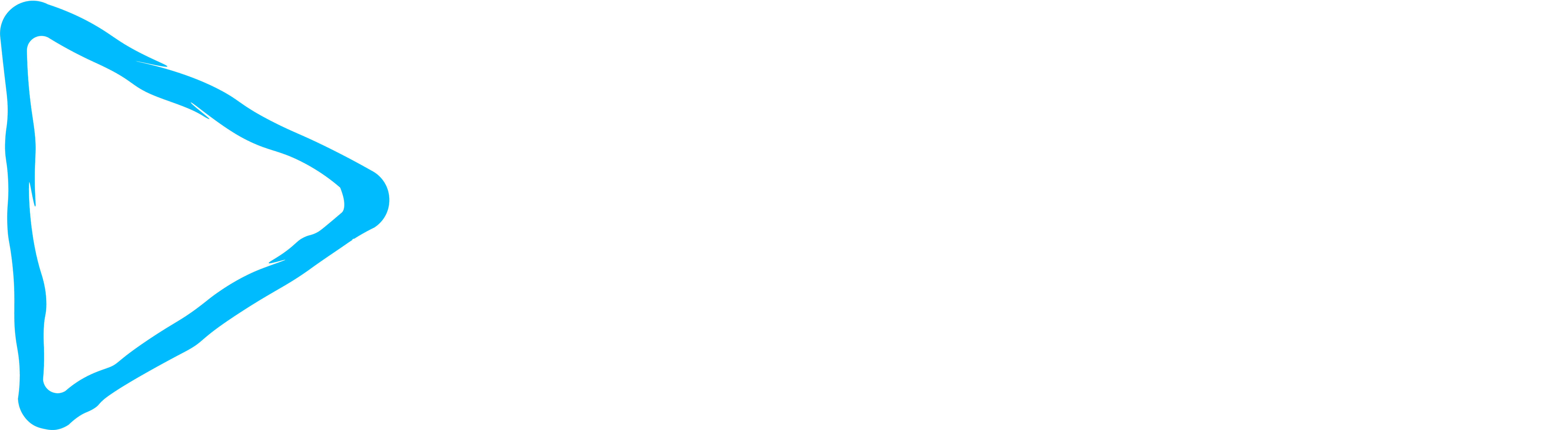 Recknitz Medien Logo
